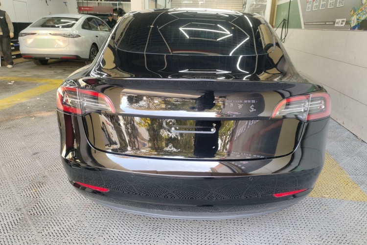 特斯拉 Model 3 2021款 标准续航后驱升级版 3D6车身外观6004
