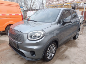 零跑汽车 零跑T03 2020款 400豪华版