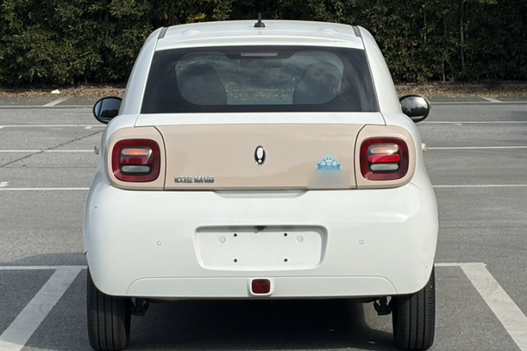 欧拉黑猫 2022款 351km 标准型 三元锂车身外观6003