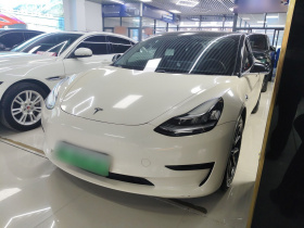 特斯拉 Model 3 2020款 标准续航后驱升级版