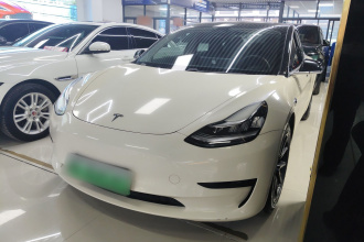 特斯拉 Model 3 2020款 标准续航后驱升级版