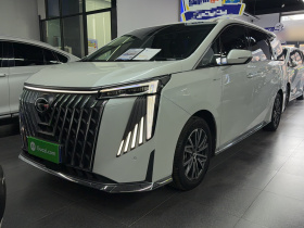 广汽传祺 传祺M8 2024款 大师系列 400T 至尊版