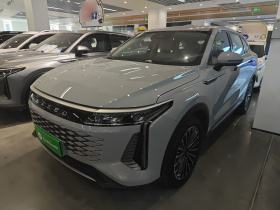 星途 瑶光C-DM 2024款 1.5T 长续航Pro