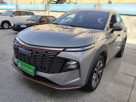 哈弗神兽 2022款 2.0T 智尊四驱版