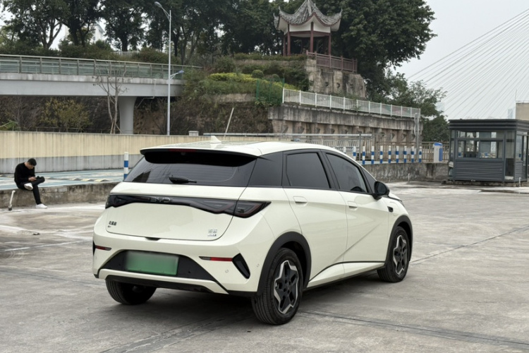 比亚迪 海豚 2025款 智驾版 420km 自由版车身外观6004