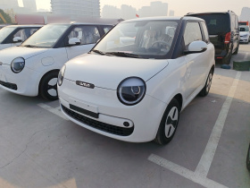 吉利银河 2024款 熊猫mini 200km 耐力熊