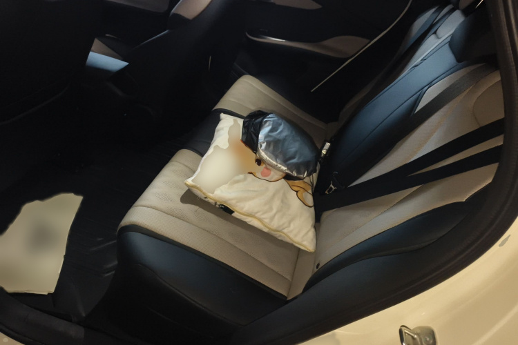 比亚迪 海豚 2025款 420km 自由版中控内饰7004