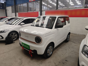 吉利银河 2024款 熊猫mini 200km 耐力熊