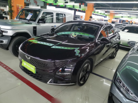 五菱汽车 五菱星光 2023款 150 进阶版