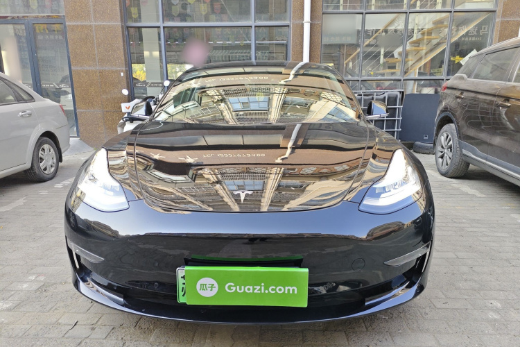 特斯拉 Model 3(进口) 2019款 长续航全轮驱动版车身外观2