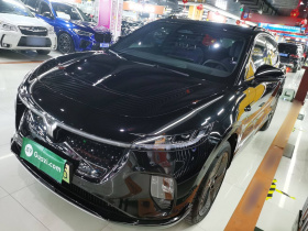 岚图汽车 岚图知音 2024款 四驱全球版