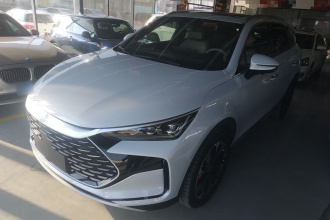 比亚迪 唐新能源 2024款 DM-p 冠军版 215KM 四驱旗舰型