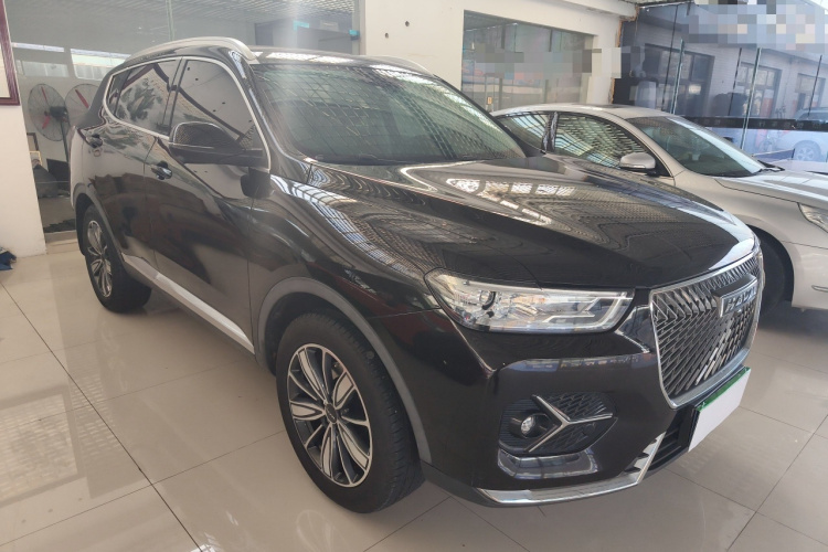 哈弗H6 2021款 1.5GDIT 自动冠军版车身外观6002