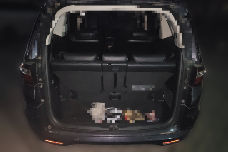 本田 奥德赛 2015款 2.4L 智享版局部细节23