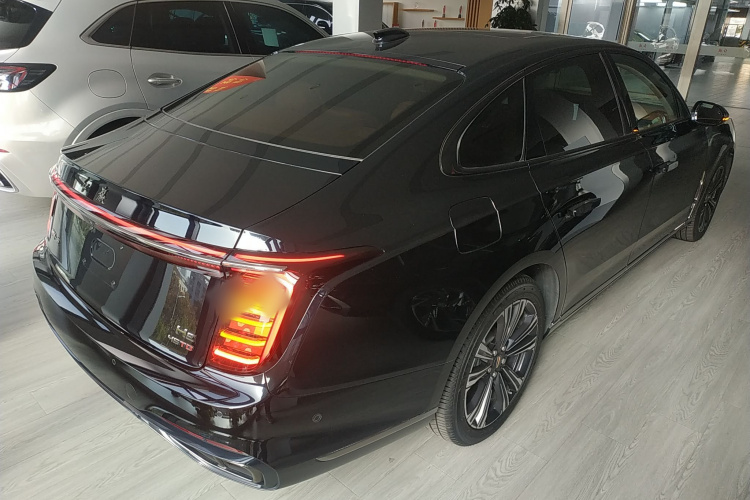 红旗H9 2024款 2.0T 旗畅 私享风尚版车身外观7