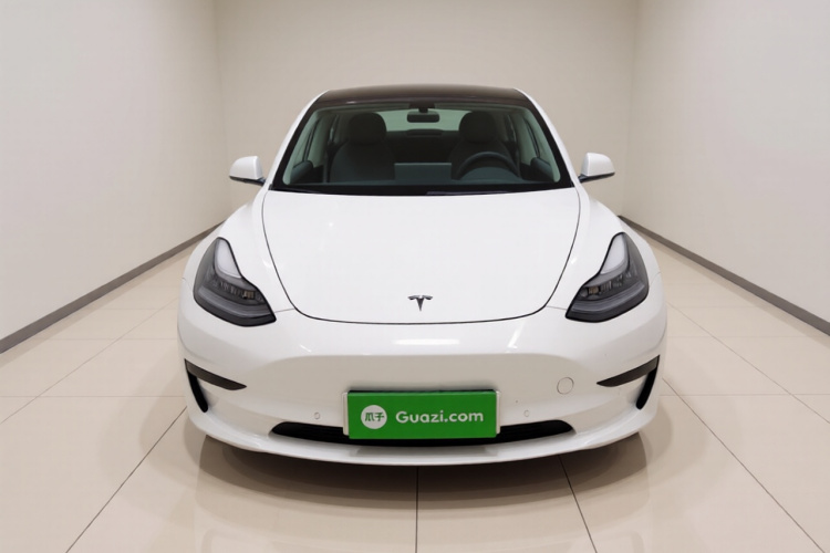 特斯拉 Model 3 2020款 改款 标准续航后驱升级版车身外观2