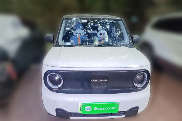 吉利银河 2024款 熊猫mini 200km 龙腾PRO版车身外观6001