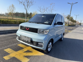 五菱汽车 宏光MINIEV 2020款 自在款 磷酸铁锂