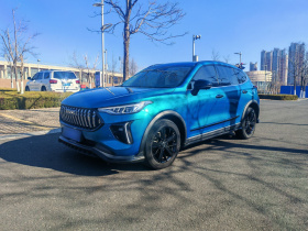 哈弗赤兔 2021款 激擎版 1.5T 黄金兔