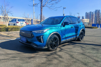 哈弗赤兔 2021款 激擎版 1.5T 黄金兔