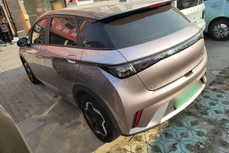 比亚迪 海豚 2021款 405km 时尚版车身外观4