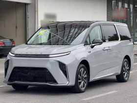 上汽大通MAXUS 大家9 2024款 超混 长续航森林版 七座