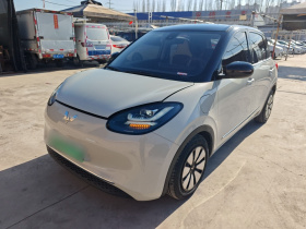 五菱汽车 五菱缤果 2023款 333km 悦享+款