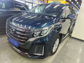 广汽传祺 传祺M8 2020款 领航款 390T 尊享版