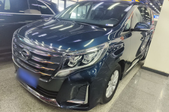 广汽传祺 传祺M8 2020款 领航款 390T 尊享版