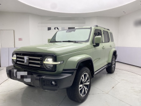 坦克300 2024款 2.0T 穿越者