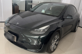 特斯拉 Model Y 2022款 后轮驱动版