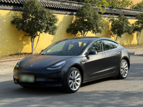 特斯拉 Model 3 2019款 标准续航后驱升级版