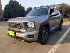 哈弗大狗 PLUS 新能源 2023款 DHT-PHEV 105km 潮电版Plus