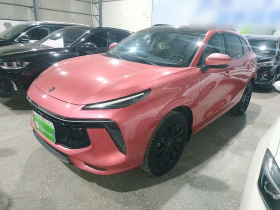 东风风行 风行T5 EVO 2021款 1.5TD DCT钻石版