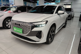 奥迪Q4 e-tron 2024款 40 e-tron 创境版