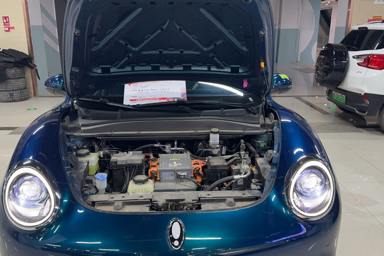 欧拉好猫 2023款 401km标准续航 尊贵型 磷酸铁锂局部细节24