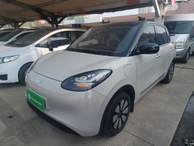 五菱汽车 五菱缤果 2024款 333km 悦享款