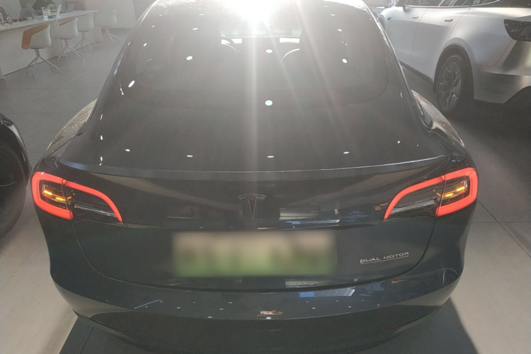 特斯拉 Model 3(进口) 2019款 Performance高性能全轮驱动版车身外观6
