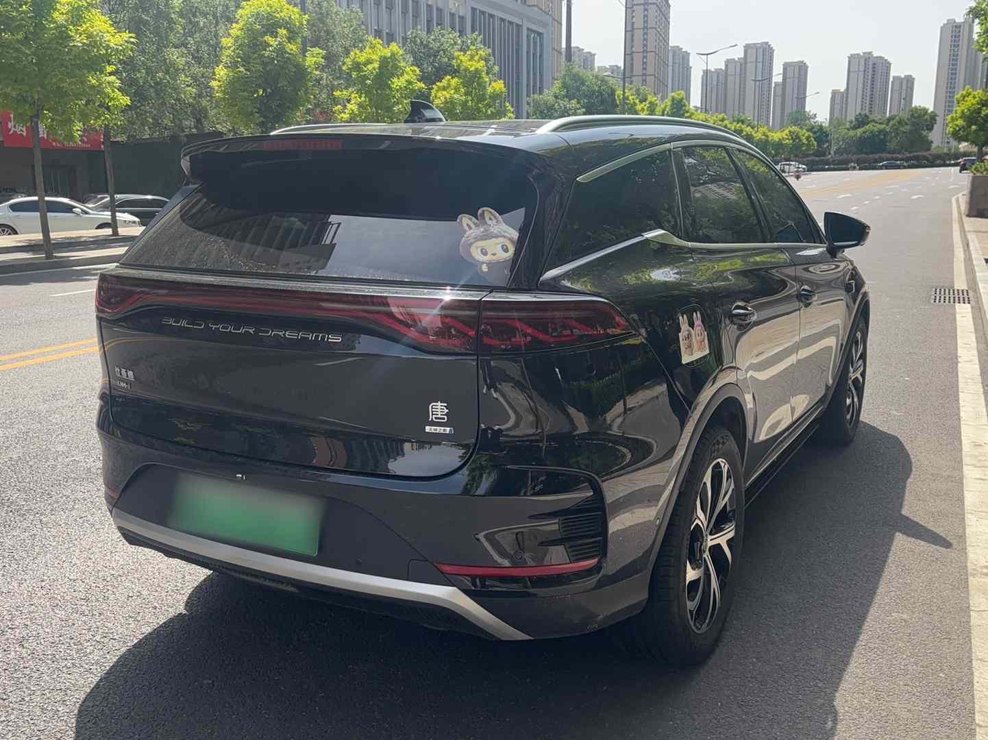 比亚迪 唐新能源 2025款 智驾版 DM-i 115KM 尊荣型(5)