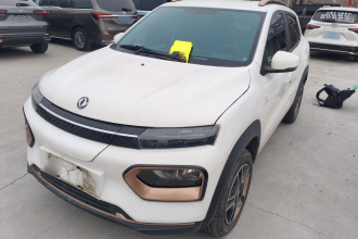 东风纳米EX1 2023款 PRO 轻风版闪电型