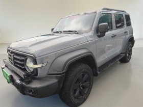 坦克300 2021款 越野版 2.0T 征服者