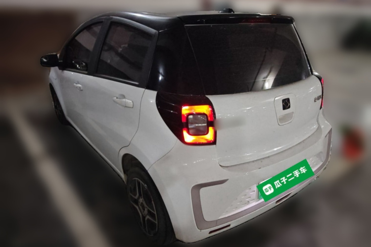 思皓 2022款 花仙子款 四叶草车身外观6003