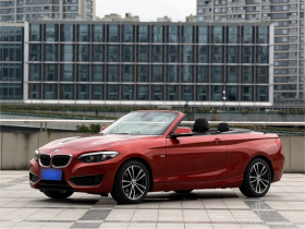 宝马2系(进口) 2018款 220i 敞篷轿跑车 运动设计套装