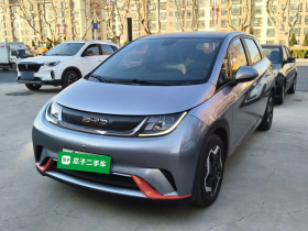 比亚迪 海豚 2021款 405km 时尚版