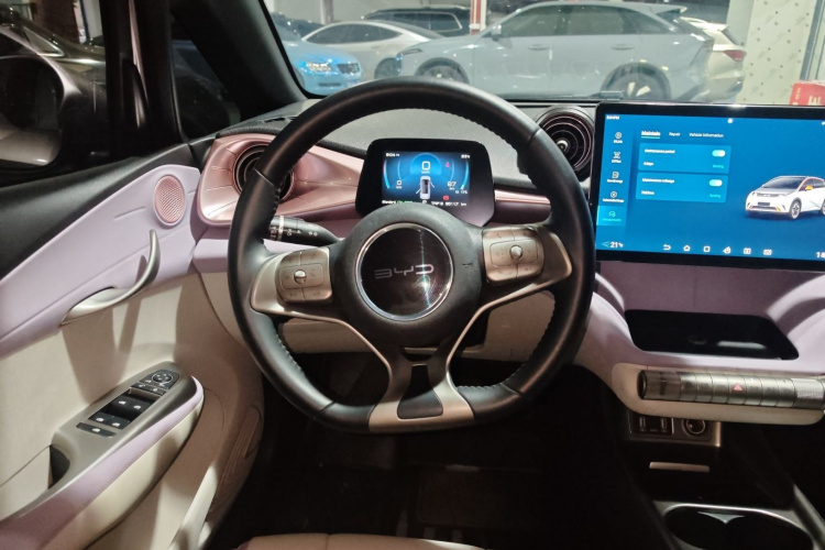 比亚迪 海豚 2021款 405km 时尚版局部细节13