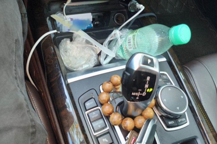 宝马X5(进口) 2015款 xDrive28i局部细节18