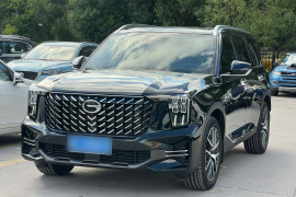 广汽传祺 传祺GS8 2024款 领航系列 2.0TGDI 两驱豪华智联版