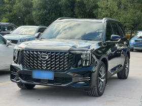 广汽传祺 传祺GS8 2024款 领航系列 2.0TGDI 两驱豪华智联版