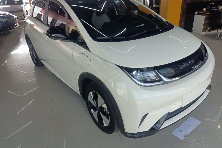 比亚迪 海豚 2023款 420km 时尚版车身外观6002