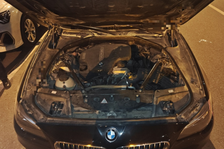 宝马5系 2014款 525Li 领先型局部细节24